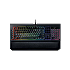 Razer BlackWidow V2 - keyboard